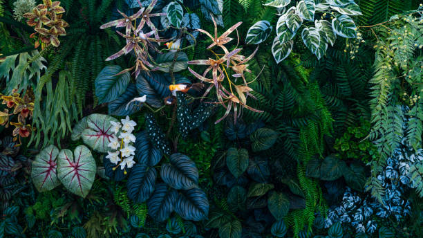 istock Group of dark green tropical leaves background. 1944128582
