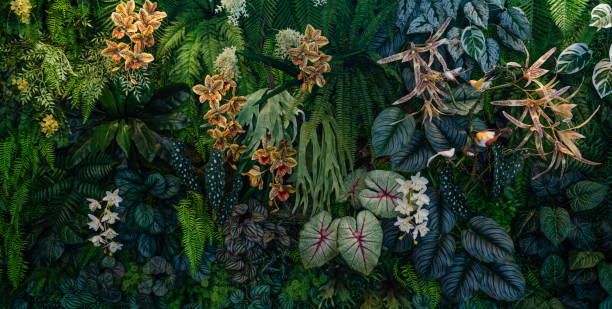 istock Group of dark green tropical leaves background. 1944135395