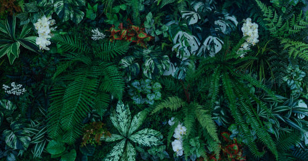 istock Group of dark green tropical leaves background. 1944140597