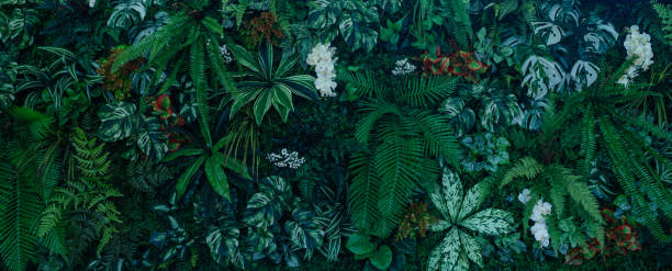 istock Group of dark green tropical leaves background. 1944140598