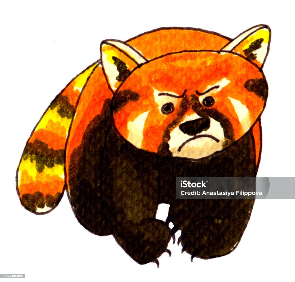 Evil Lesser Panda Red Panda Evil Stock Illustration - Download Image Now - Animal, Animal ...