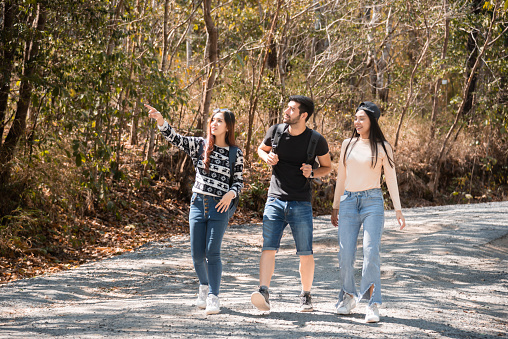 Happy Multi-ethnicity group of young friends enjoy hiking, walking, exploring in forest on vacation, female and man having fun in forest on beautiful autumn day, nature outdoor wild grass forest trip.
