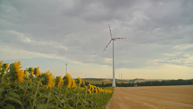 SLO MO Fields of Renewal: Wind Turbines Amidst Rural Fields of Sunflowers
