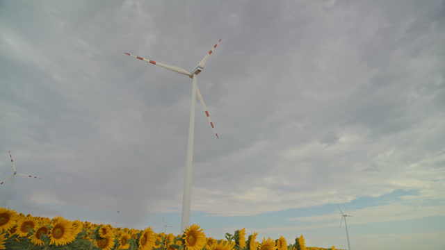 SLO MO Fields of Harmony: Sunflowers and Wind Turbines in Cloudscapes