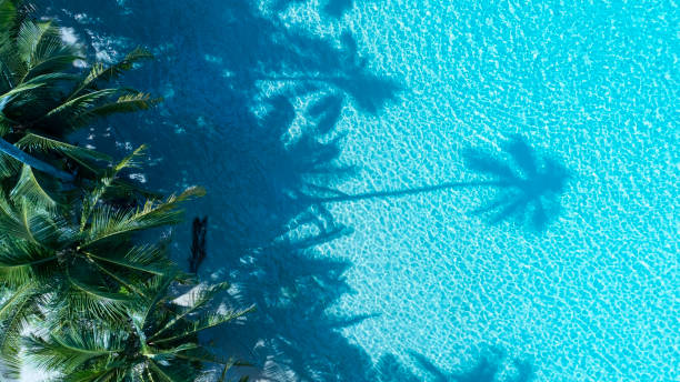 istock Summer palm tree  and Tropical beach with blue  of seashore background 1944223180
