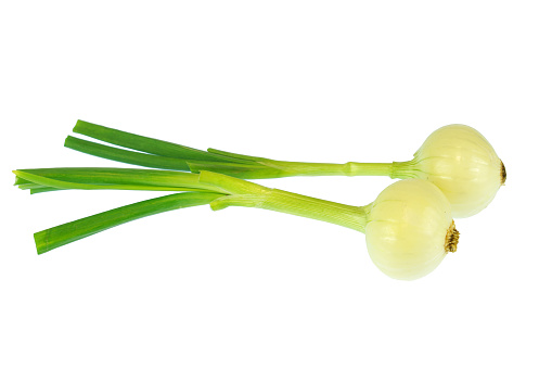 green onion isolated on white background