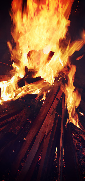 Vertical photograph of burning logs heap as bonfire or campfire in dark black night.