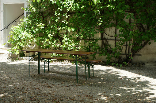 The Stone Path of a Garden Hotel