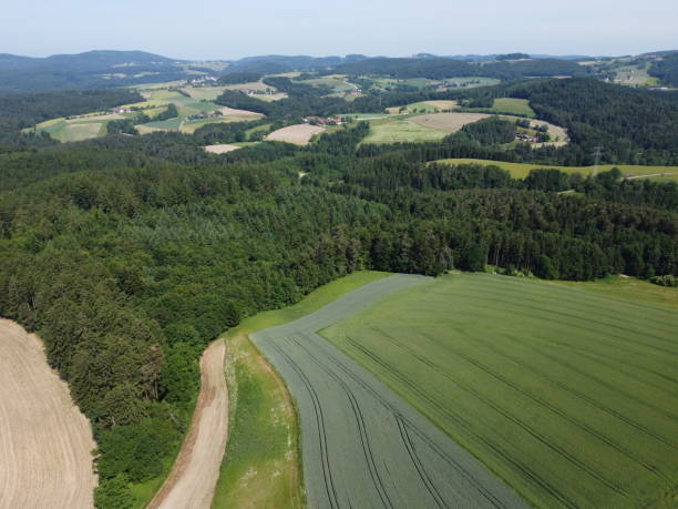 istock Bavarian forest with fields and meadows, aerial 1944273967