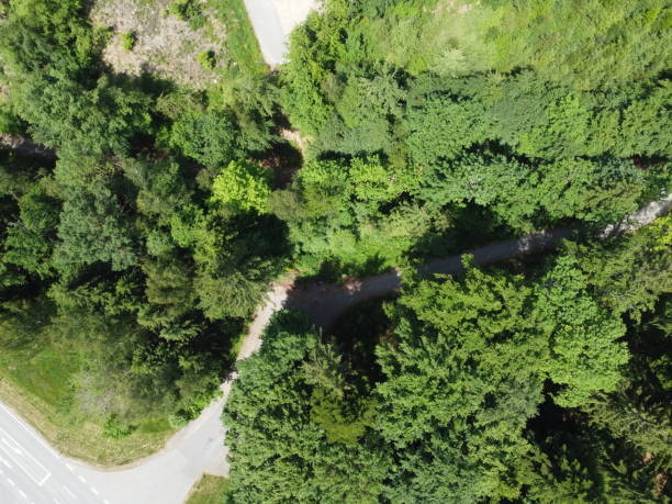istock Aerial view of the forest and meadows and fields 1944273977