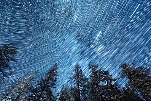 night sky with many stars, star trail over trees in forest in winter