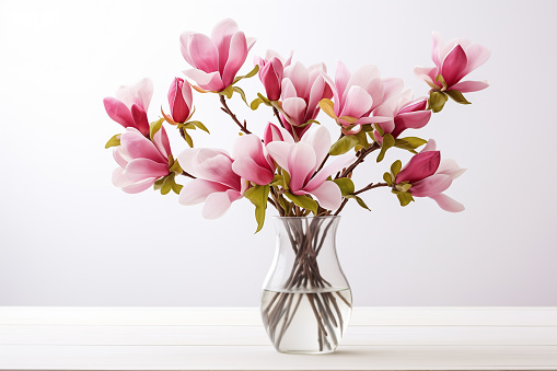 Beautiful pink magnolia flowers bouquet. Large magnolia branches in matt glass vase on light background. Spring blossom light color petals interior photo.
