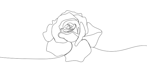 Rose flower in single continuous line drawing style for  or emblem. modern vector illustration