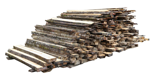 Maple trees cut into thick planks for sale isolated
