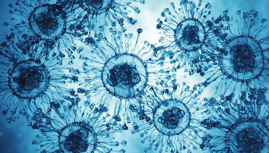 E coli bacterial culture plate examination in biotechnology/ microbiology laboratory.