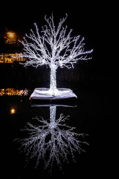 Beautiful illumination of  garden