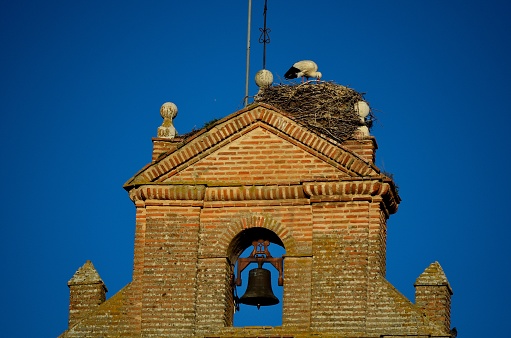 Stork with nest, in bell tower, in Tordesillas