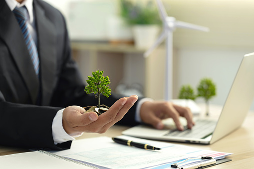 Businessman holding coin with a tree growing on money coin stack. Investment Ideas and Green Business Growth. Finance sustainable development. Alternative sources of energy. Eco business investment