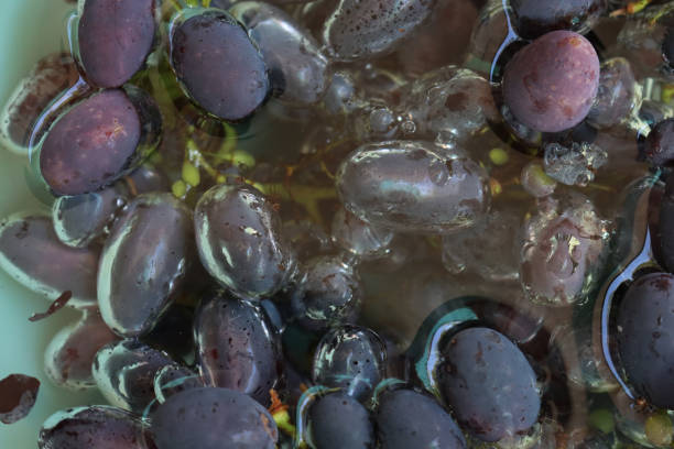 Natural background with purple ripe grapes immersed in water on selective focus. Refreshment concept
