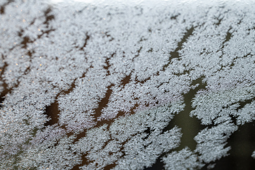 Formation of frosted ice crystals on the outer surface of a window pattern