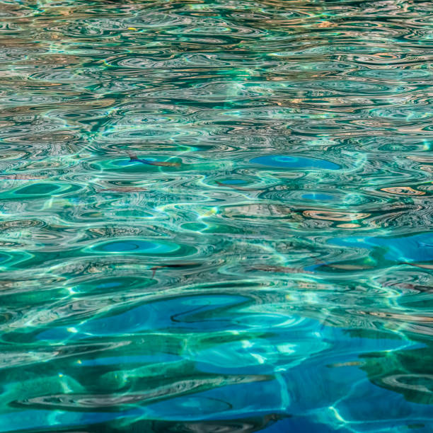 istock Emerald sea in sunshine glow as surface background. Summer holidays concept 1944435029
