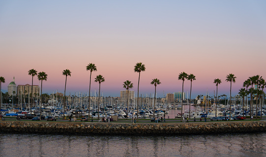 A stunning sunset view of a harbor with palm trees silhouetted against the sky and reflecting in the water