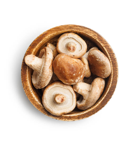 Fresh shiitake mushrooms in bowl isolated on white background.