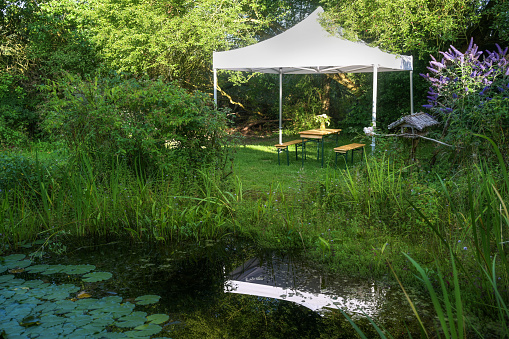 White pavilion or gazebo with benches and table in an overgrown natural garden by the pond, idyllic summer scene, copy space, selected soft focus, narrow depth of field