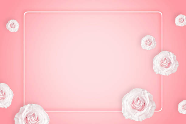 istock Greeting card design with beautiful White roses on pink background, flat lay and space for text. International Women's day. 1944506807