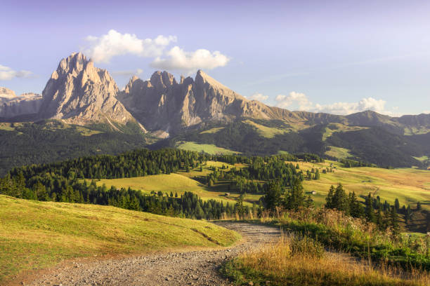 alpe di siusi or seiser alm, sassolungo mountain and pathway, dolomites alps, italy. - sassopiatto ストックフォトと画像