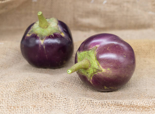 istock Eggplant or aubergine or brinjal isolated on background. 1944523037