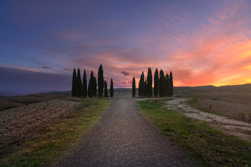 SAN QUIRICO D'ORCIA, TUSCANY / ITALY - October 27, 2023: The circle of cypresses of San Quirico d'Orcia in Val d'Orcia, during a colorful sunset in autumn.