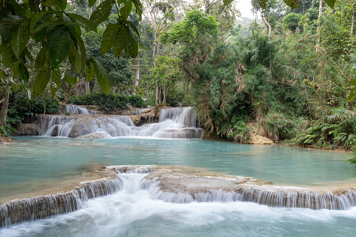 Kuang Si Waterfall in the morning at Luang prabang,Laos. Waterfalls from limestone mountains give the water a beautiful clear blue color.