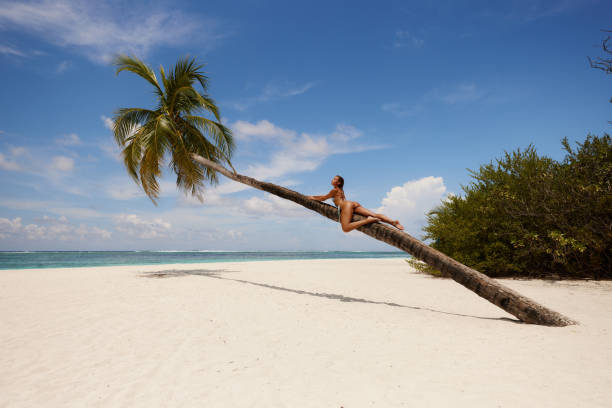 istock Sensual woman relaxing on a palm tree at the beach. 1944549513