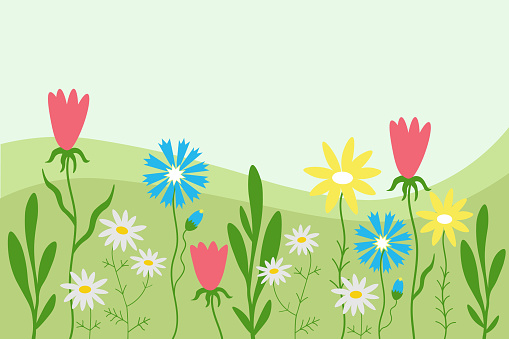 Floral background card hand drawn cartoon banner landscape field with blooming wildflowers, daisies, cornflowers, plants, grass flat vector illustration green motif. Template floret design for backdrop,  print, flyer, poster, paper