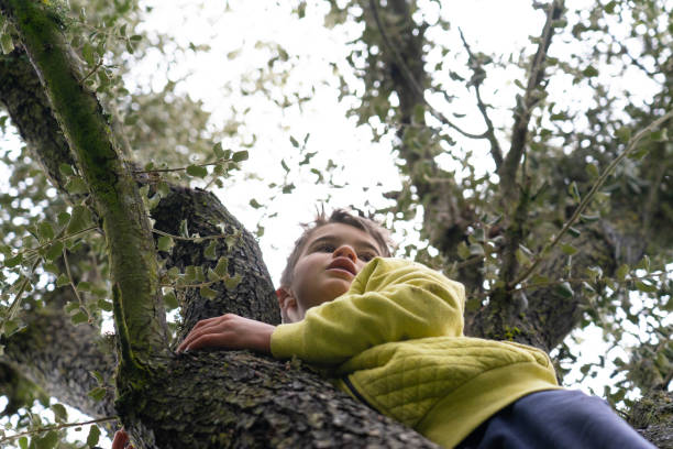 A six-year-old girl in a blue and white floral dress is perched comfortably on the bow of a tree, her arms and chin resting lazily on a thick branch. She looks perfectly at ease, as if the tree was made just for her to lounge in. Dappled sunlight filters through the leafy canopy above, casting soft speckles of light across the scene. The sky behind her is a clear, vibrant blue, adding a peaceful backdrop to the scene. There's a quiet magic to the moment — childhood and nature in perfect harmony, captured in a still, sunlit afternoon.\n\nEnvironmental Poratrait. Vibrant Natural Colour grade.