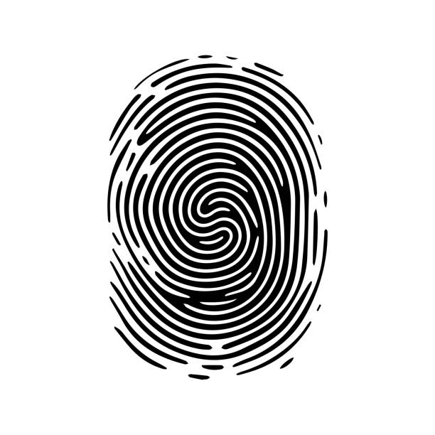 指紋パターン、くっきりとした線と渦巻き。人間の拇印。アイコン、ピクトグラム、ロゴ。白い背景に分離されたベクトル。セキュリティの概念。白黒のイラスト。 - individuality identity computer graphic forensic science点のイラスト素材／クリップアート素材／マンガ素材／アイコン素材