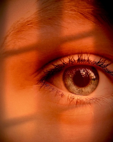 Photograph of a close up of a blue eye and lashes and partial view of eyebrow and face with window frame shadows across the photo and soft moody tones.