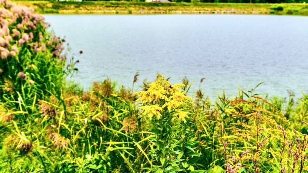 istock Beautiful lake in the Polish Carpathians 1944646978