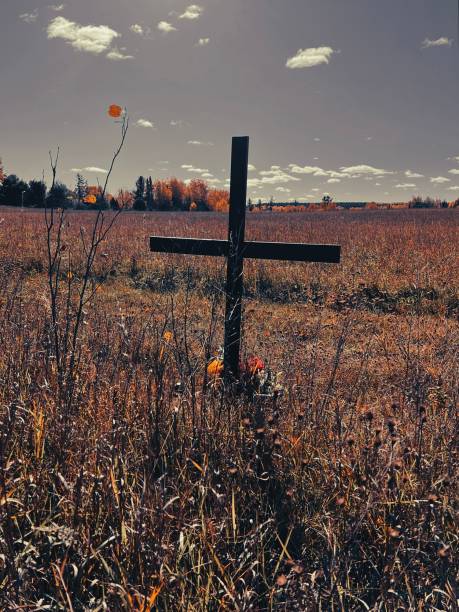 野の花畑の道端の交差点。 - memorial roadside cross cross shape ストックフォトと画像