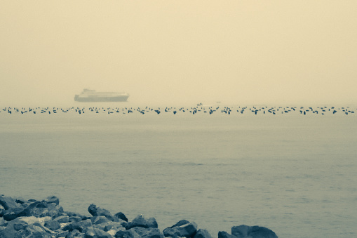 Cruise Ship Passing the Trieste Gulf