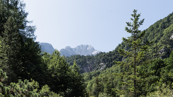 View of rocky mountain peaks with greenery in sunny summer in the Alps in Slovenia.