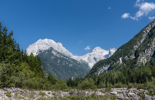 View of rocky mountain peaks with greenery in sunny summer in the Alps in Slovenia.
