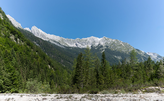 View of rocky mountain peaks with greenery in sunny summer in the Alps in Slovenia.