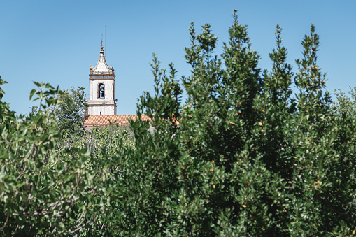 Landscape image with detail of the church tower in the background and trees in the blurred foreground, Conimbriga, Portugal.