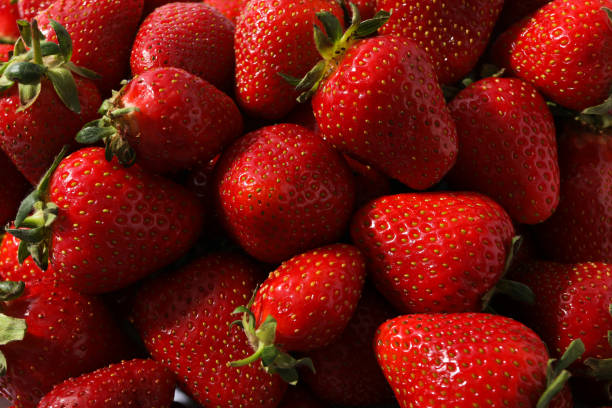 istock Strawberries with leaves on white background, close up 1944678102