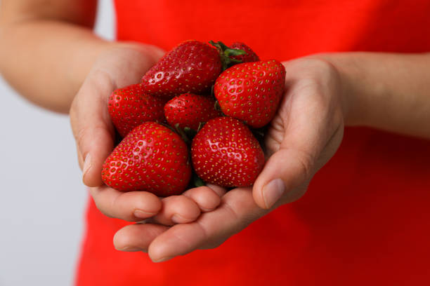 Picking strawberries in a greenhouse in Chiba