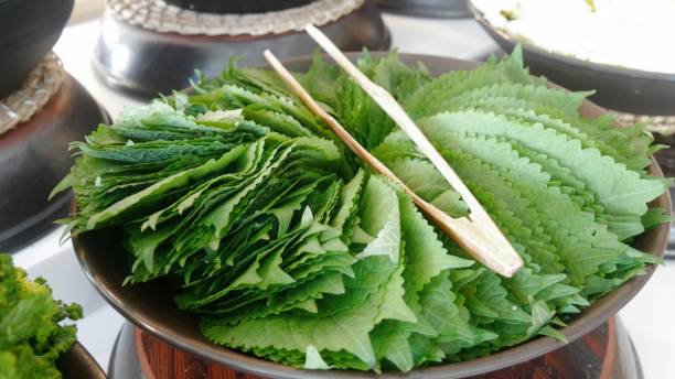 istock Thai style salted nettle salad in bowl with chopsticks 1944687233