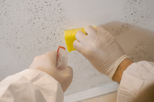 A cleaning service worker removes mold from a wall using a sprayer with mold remediation chemicals, mildew removers and a scraper.