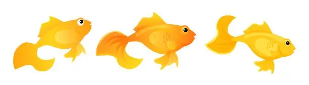 Vector illustration of Cute gold fish vector clipart. Aquarium goldfish illustration